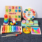 Montessori Early Education Kit